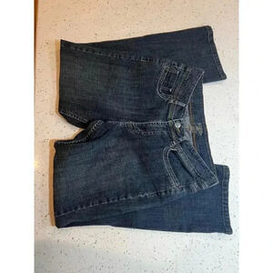 Riders by Lee boot cut size 10 petite